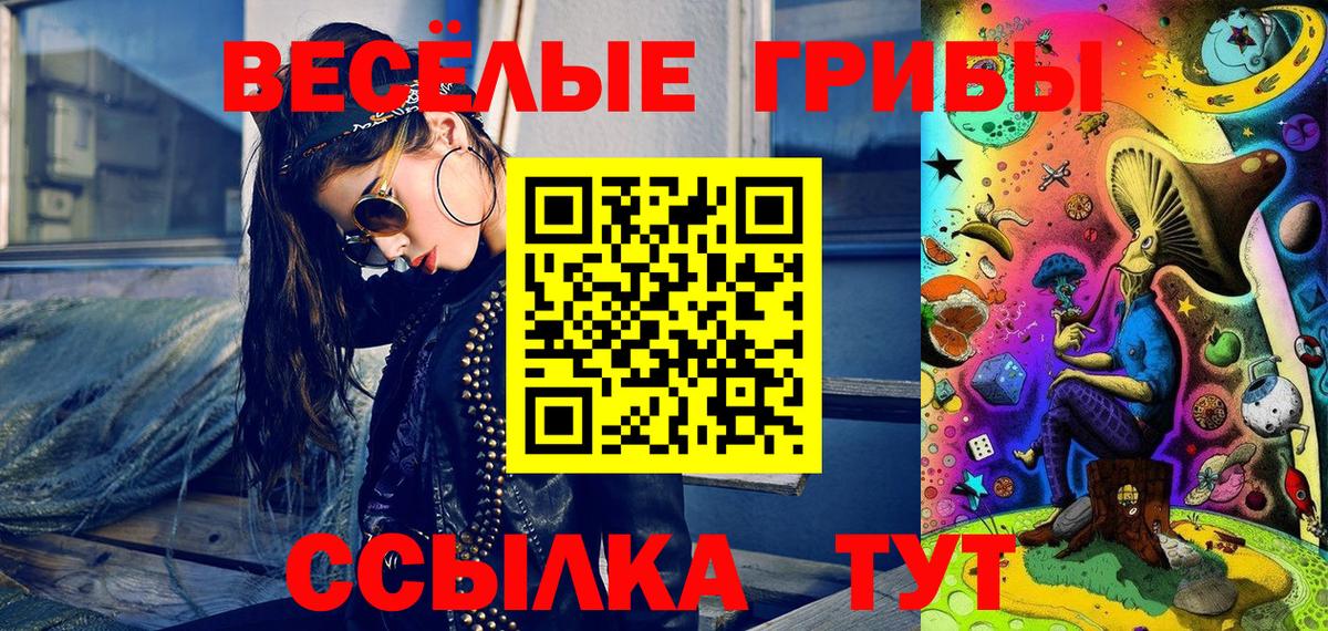 Псилоцибиновые грибы Psilocybe Чебоксары
