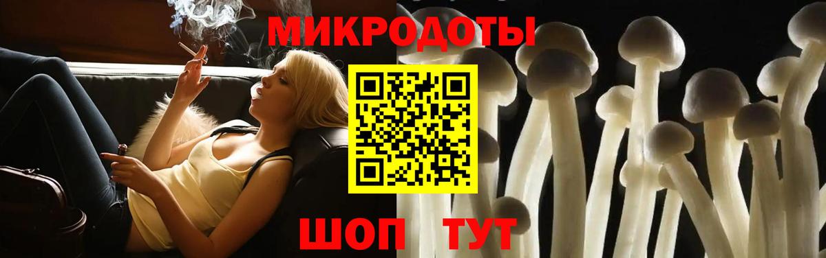 Галлюциногенные грибы Psilocybe  Вход с VPN  Чебоксары  Галлюциногенные грибы Psilocybe 